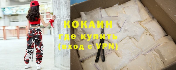 шишки Мегион