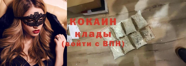 шишки Мегион