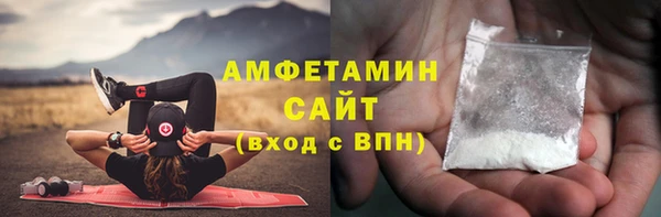 шишки Мегион