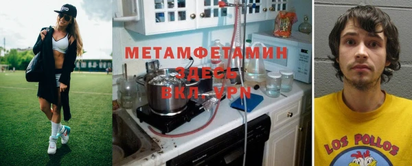 шишки Мегион
