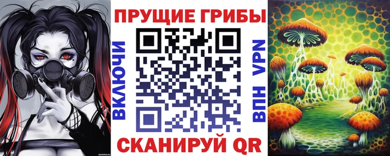 Псилоцибиновые грибы Psilocybe  цена   MEGA маркетплейс  Севастополь 