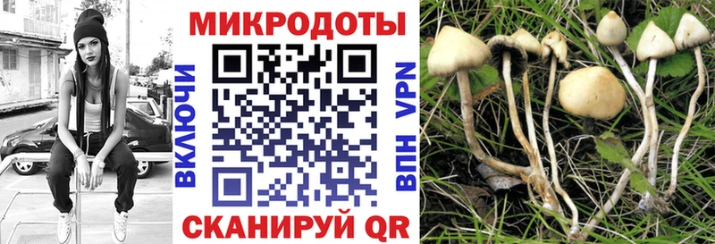 Псилоцибиновые грибы мицелий Севастополь