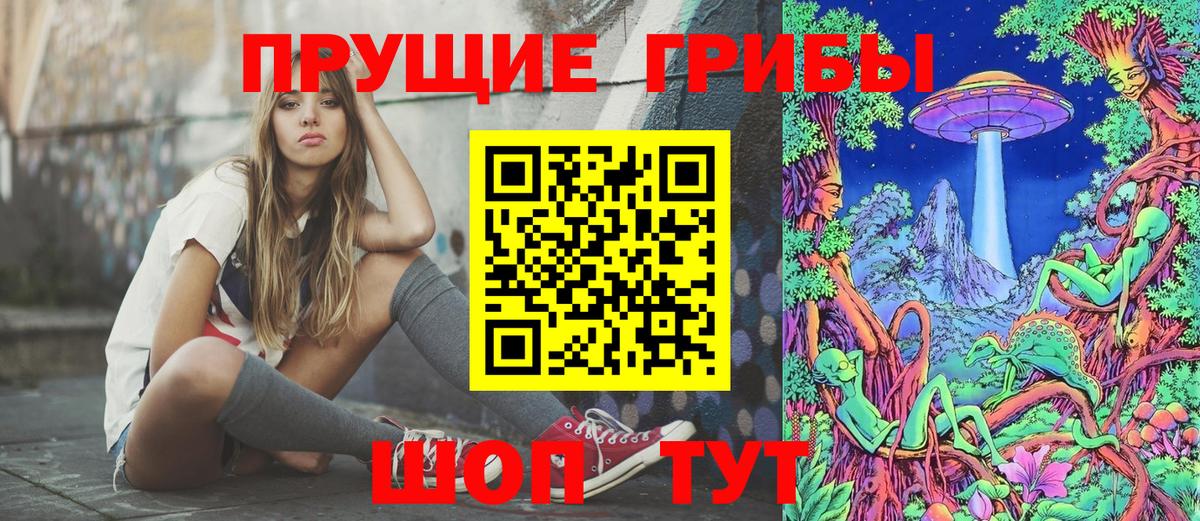 Галлюциногенные грибы Psilocybine cubensis Севастополь