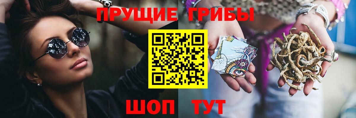 Псилоцибиновые грибы мицелий Севастополь